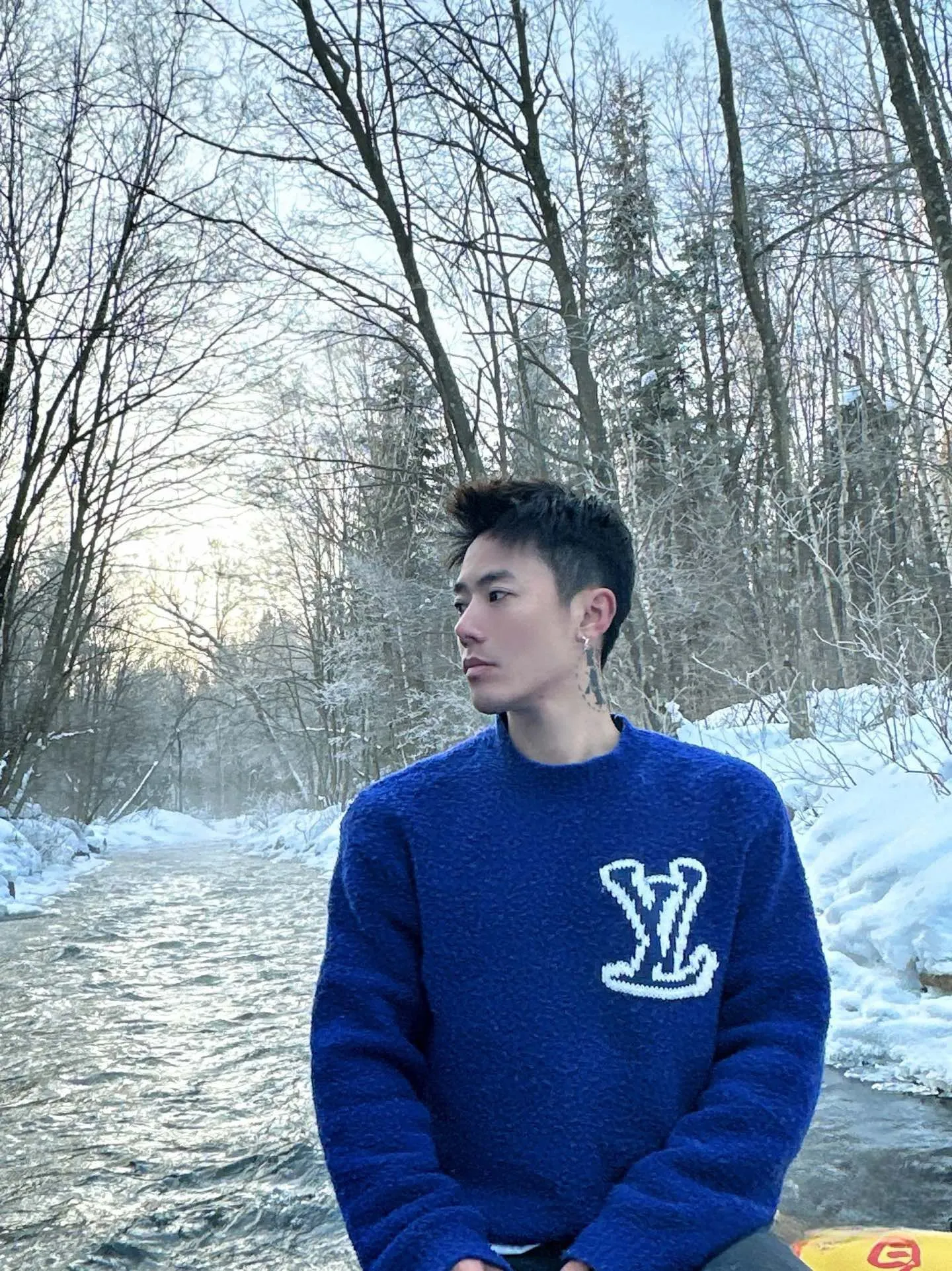 Model picture